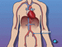 The blood vessels that carry oxygen-rich blood away from the heart are called arteries.