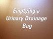 The drainage bag should be emptied at least daily, more often if it fills,